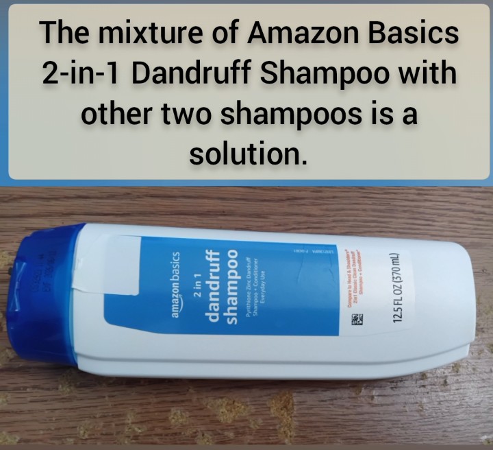 Amazon Basics 2-in-1 Dandruff Shampoo.